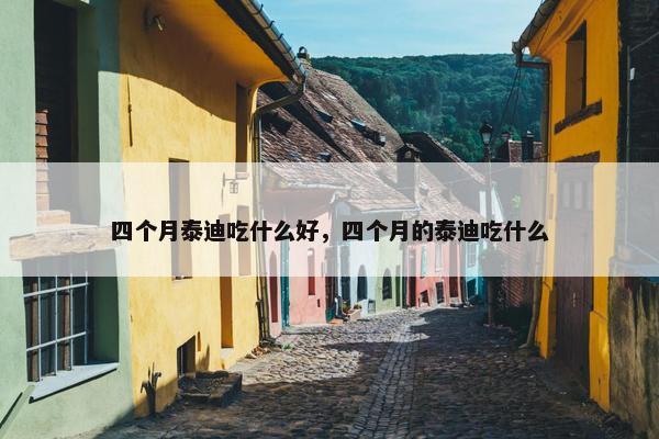 四个月泰迪吃什么好，四个月的泰迪吃什么
