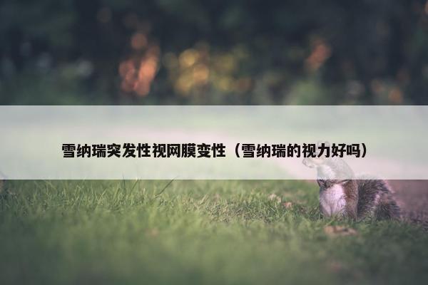 雪纳瑞突发性视网膜变性（雪纳瑞的视力好吗）