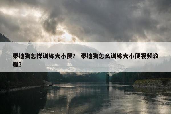 泰迪狗怎样训练大小便？ 泰迪狗怎么训练大小便视频教程？