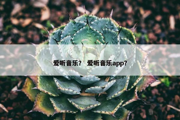 爱听音乐？ 爱听音乐app？