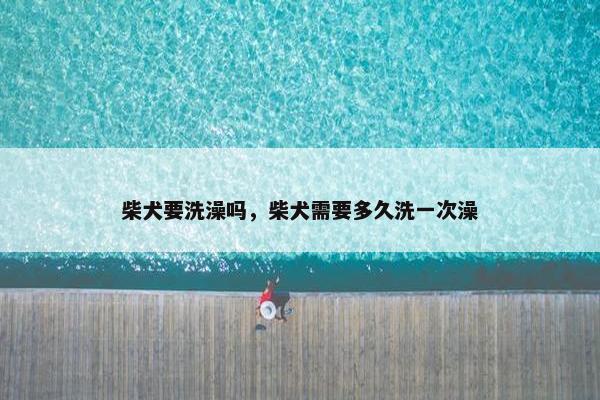 柴犬要洗澡吗，柴犬需要多久洗一次澡