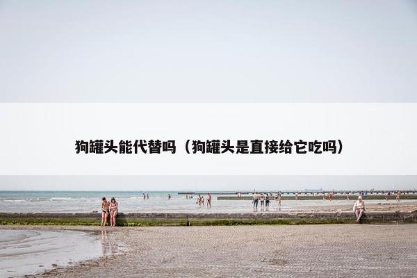 狗罐头能代替吗（狗罐头是直接给它吃吗）