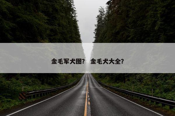 金毛军犬图？ 金毛犬大全？