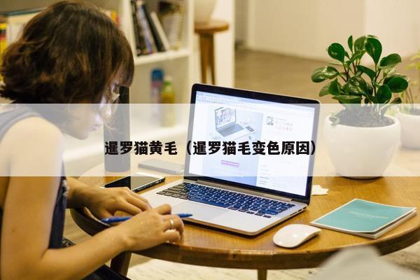 暹罗猫黄毛（暹罗猫毛变色原因）