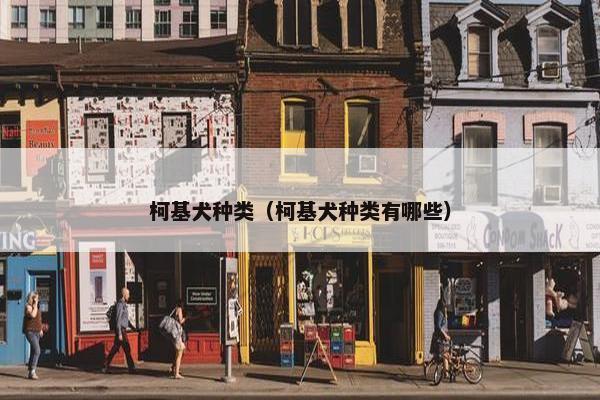柯基犬种类（柯基犬种类有哪些）