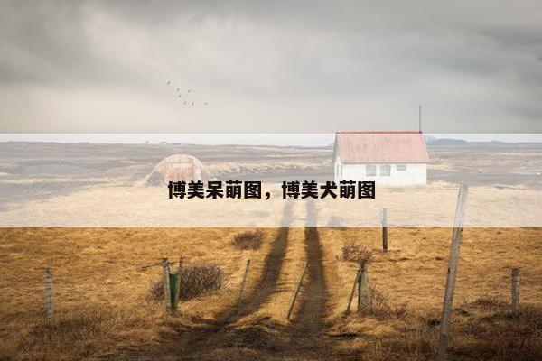 博美呆萌图，博美犬萌图