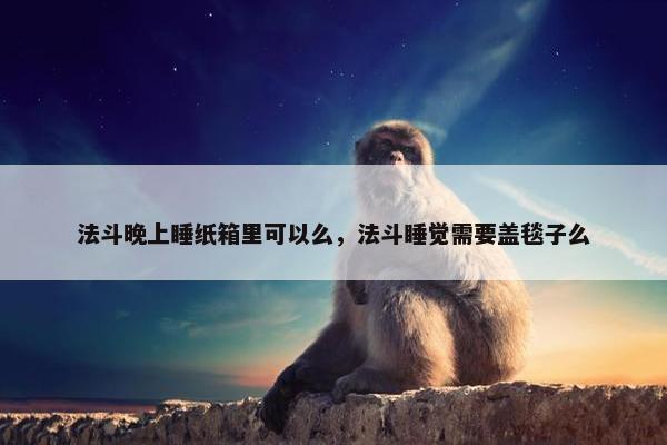 法斗晚上睡纸箱里可以么，法斗睡觉需要盖毯子么