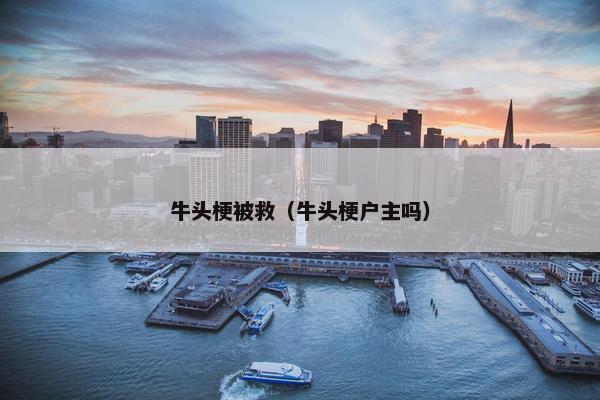 牛头梗被救（牛头梗户主吗）