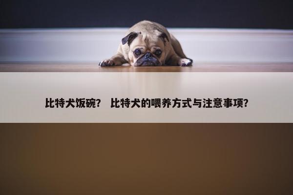 比特犬饭碗？ 比特犬的喂养方式与注意事项？