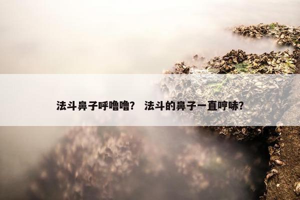 法斗鼻子呼噜噜？ 法斗的鼻子一直哼哧？