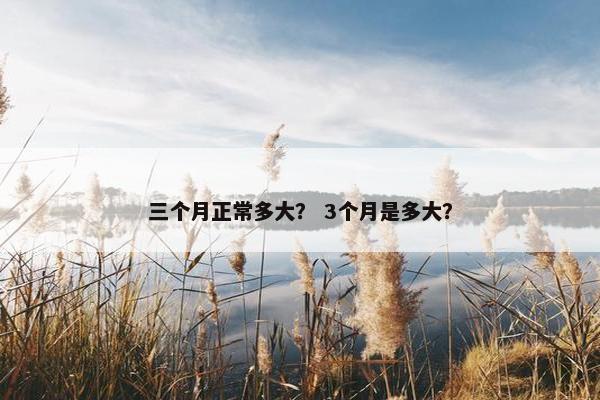 三个月正常多大？ 3个月是多大？