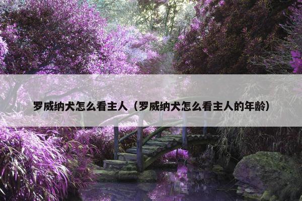 罗威纳犬怎么看主人（罗威纳犬怎么看主人的年龄）