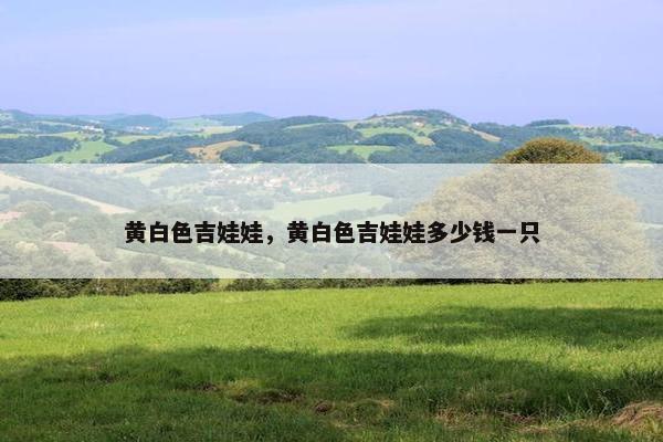 黄白色吉娃娃，黄白色吉娃娃多少钱一只