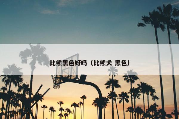 比熊黑色好吗（比熊犬 黑色）