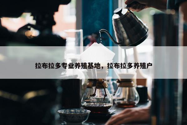 拉布拉多专业养殖基地，拉布拉多养殖户