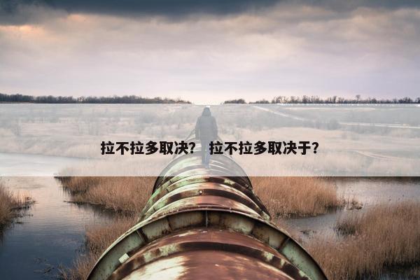 拉不拉多取决？ 拉不拉多取决于？