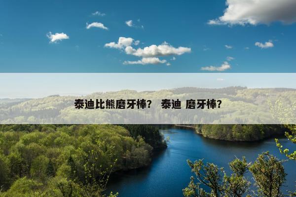 泰迪比熊磨牙棒？ 泰迪 磨牙棒？