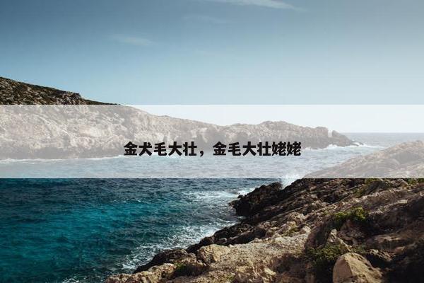 金犬毛大壮，金毛大壮姥姥
