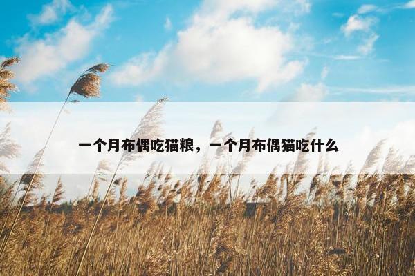 一个月布偶吃猫粮，一个月布偶猫吃什么