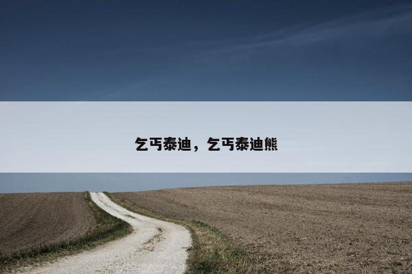 乞丐泰迪，乞丐泰迪熊