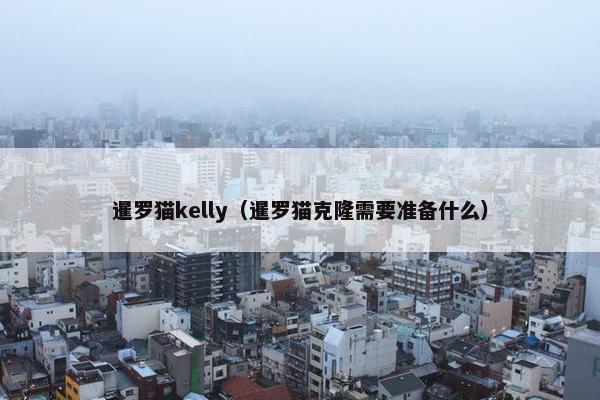暹罗猫kelly（暹罗猫克隆需要准备什么）