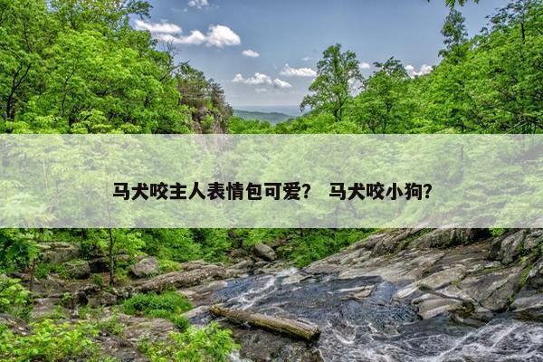 马犬咬主人表情包可爱？ 马犬咬小狗？