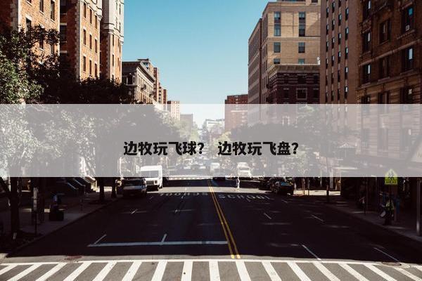 边牧玩飞球？ 边牧玩飞盘？