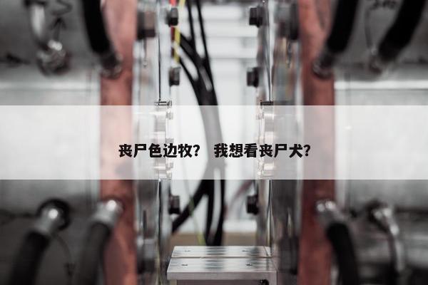 2025年5月