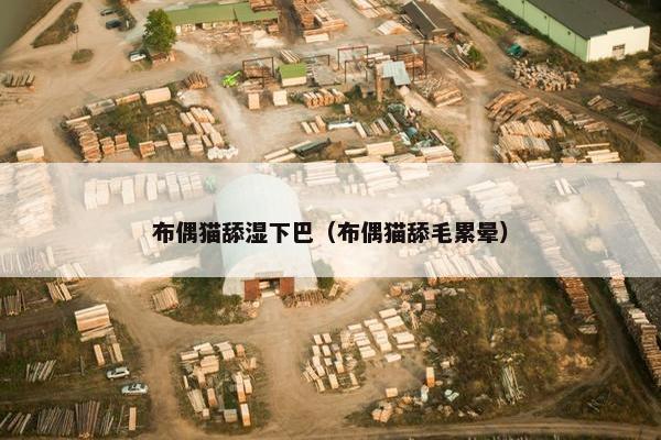 布偶猫舔湿下巴（布偶猫舔毛累晕）