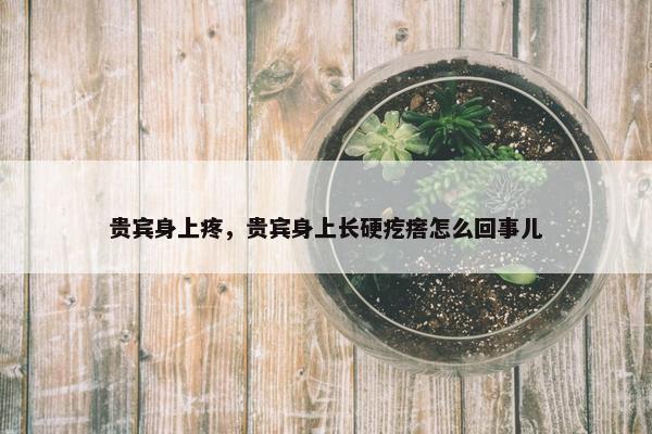 贵宾身上疼，贵宾身上长硬疙瘩怎么回事儿