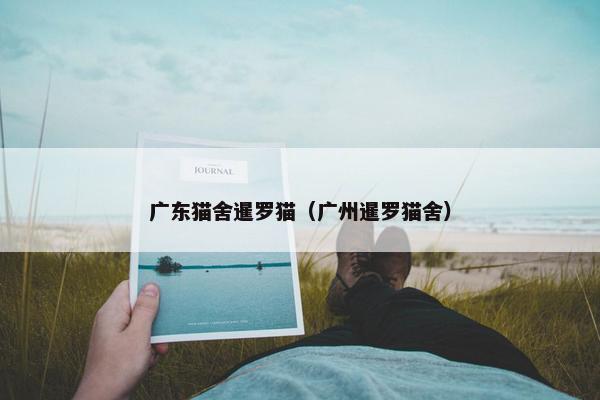 广东猫舍暹罗猫（广州暹罗猫舍）