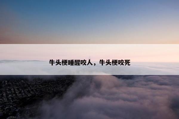 2025年6月1日 第12页