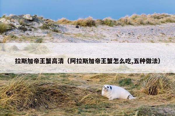 拉斯加帝王蟹高清（阿拉斯加帝王蟹怎么吃,五种做法）