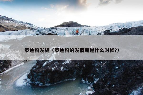 泰迪狗发货（泰迪狗的发情期是什么时候?）