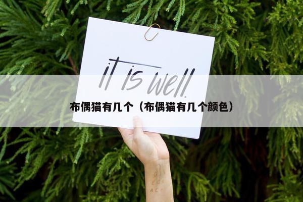 布偶猫有几个（布偶猫有几个颜色）