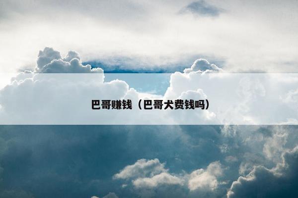 巴哥赚钱（巴哥犬费钱吗）