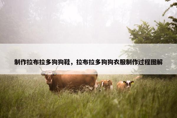 制作拉布拉多狗狗鞋，拉布拉多狗狗衣服制作过程图解