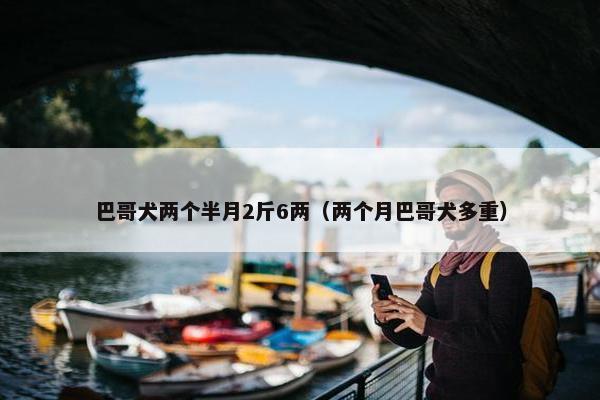 巴哥犬两个半月2斤6两（两个月巴哥犬多重）