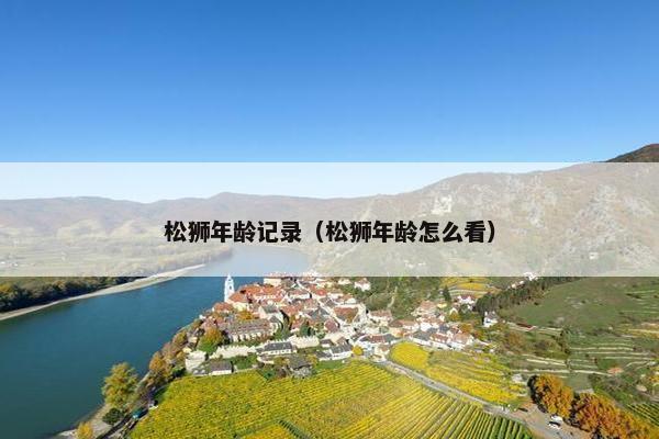 松狮年龄记录（松狮年龄怎么看）