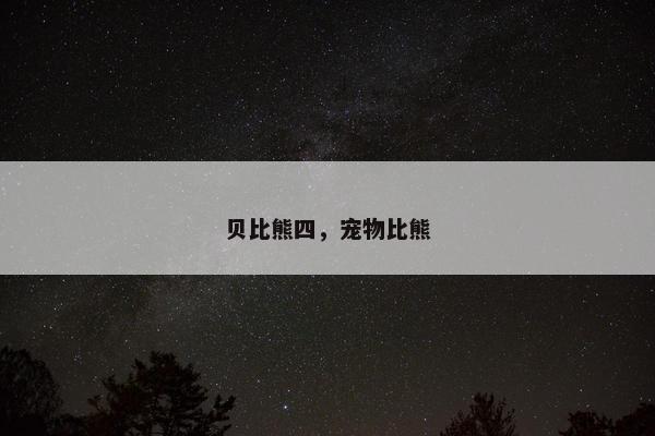 贝比熊四，宠物比熊