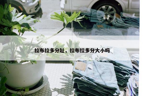 拉布拉多分趾，拉布拉多分大小吗