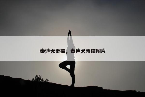 泰迪犬素描，泰迪犬素描图片