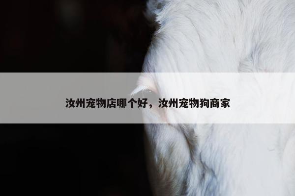 汝州宠物店哪个好，汝州宠物狗商家