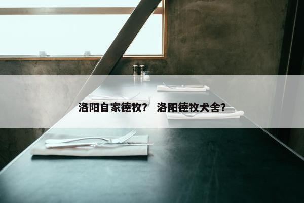 洛阳自家德牧？ 洛阳德牧犬舍？