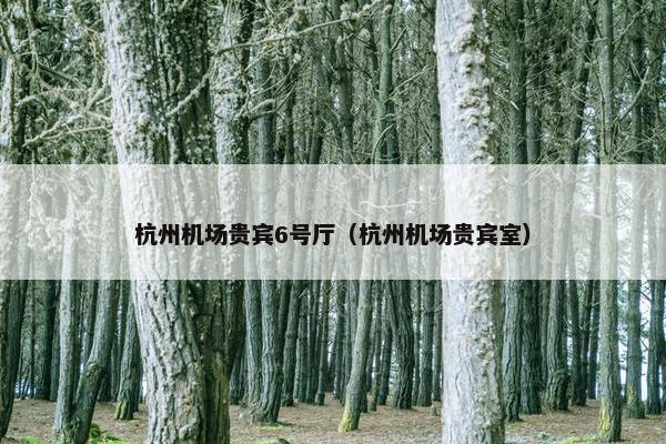 杭州机场贵宾6号厅（杭州机场贵宾室）