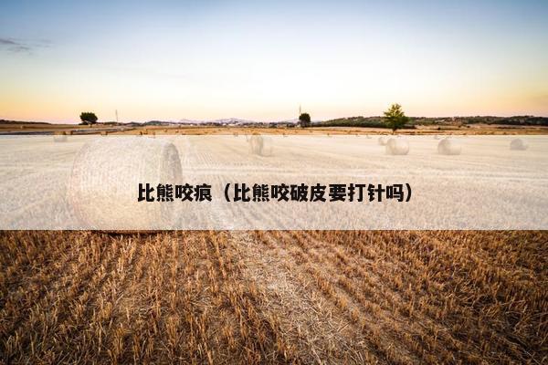 比熊咬痕（比熊咬破皮要打针吗）