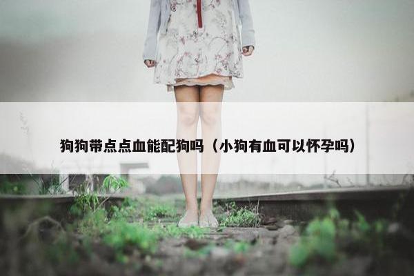 狗狗带点点血能配狗吗（小狗有血可以怀孕吗）
