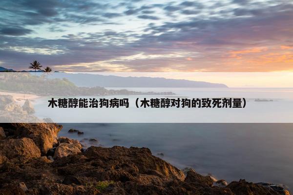 木糖醇能治狗病吗（木糖醇对狗的致死剂量）