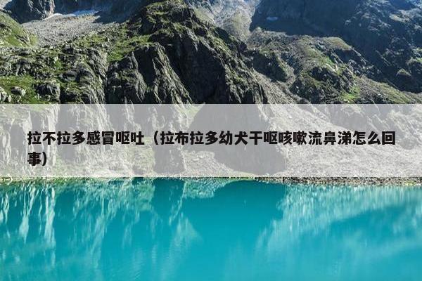 拉不拉多感冒呕吐（拉布拉多幼犬干呕咳嗽流鼻涕怎么回事）