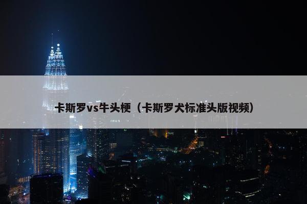 卡斯罗vs牛头梗（卡斯罗犬标准头版视频）